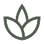 spa_64dp_535F50_FILL0_wght400_GRAD0_opsz48